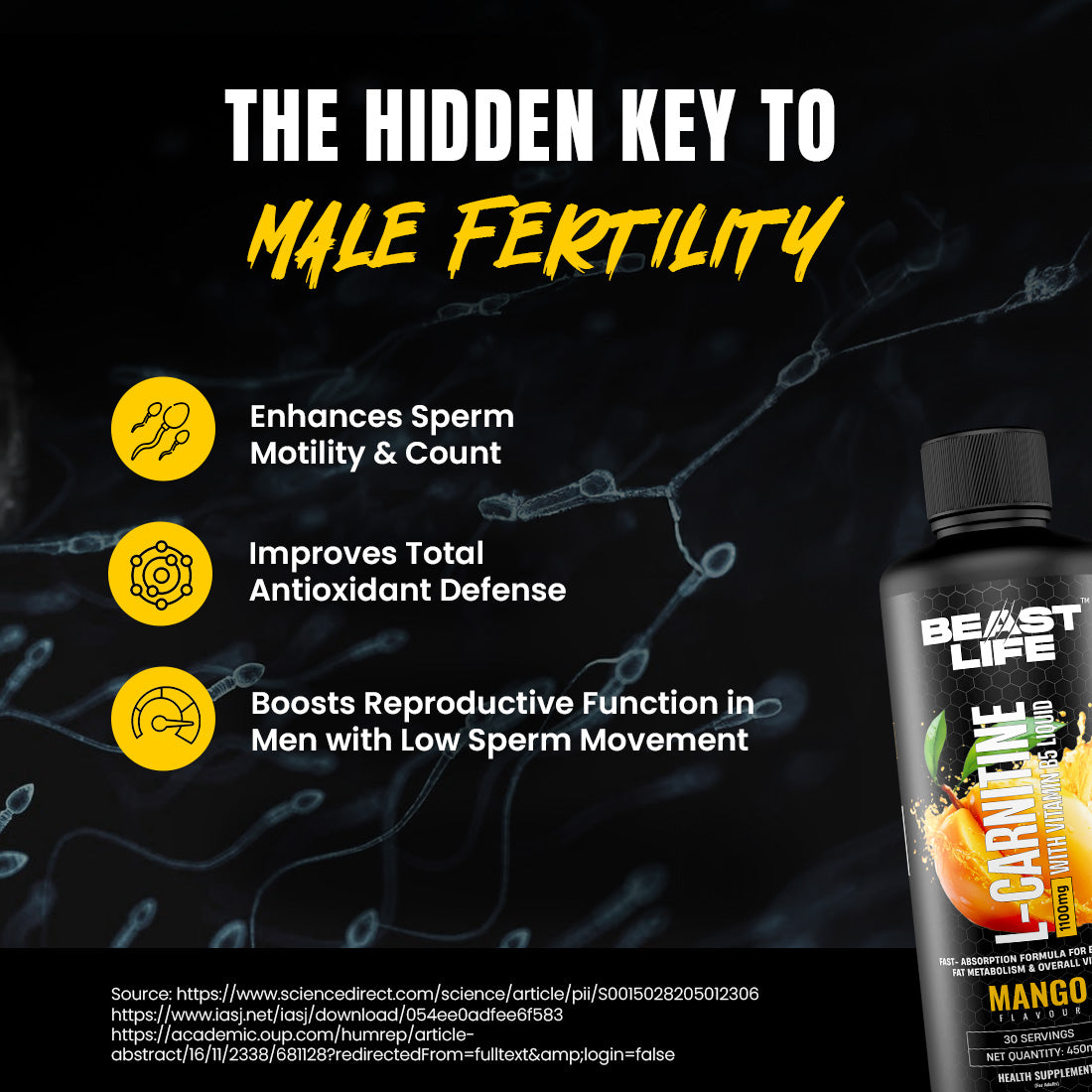 BeastLife L-Carnitine with Vitamin B5 (Mango 450ml) | 1100mg L- Carnitine