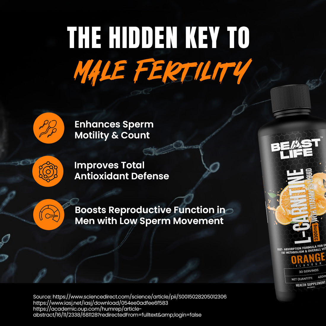 BeastLife L-Carnitine with Vitamin B5 (Orange, 450ml) | Triple Strength Formula | 3300mg L- Carnitine