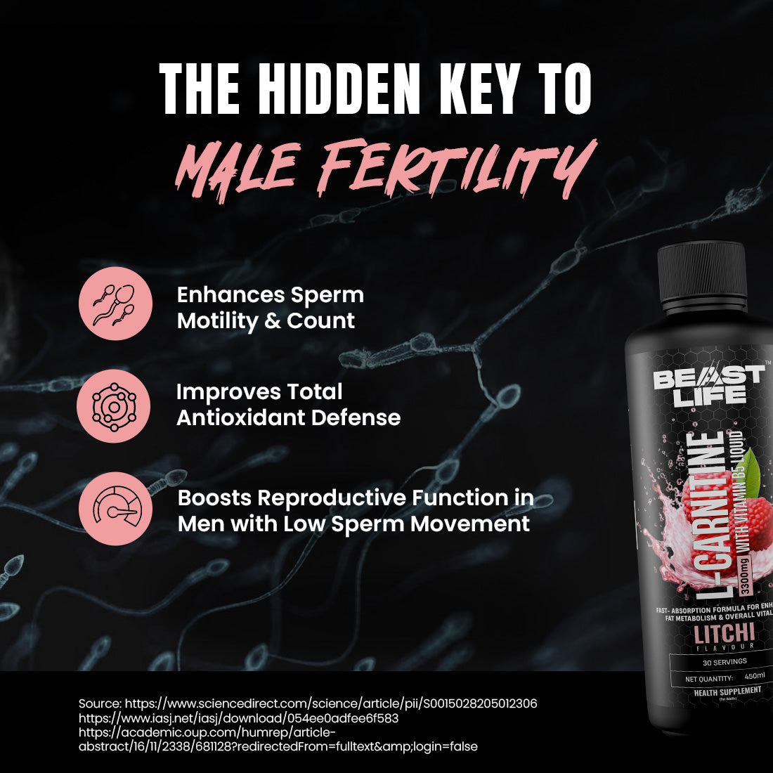 BeastLife L-Carnitine with Vitamin B5 (Litchi, 450ml) | Triple Strength Formula | 3300mg L- Carnitine