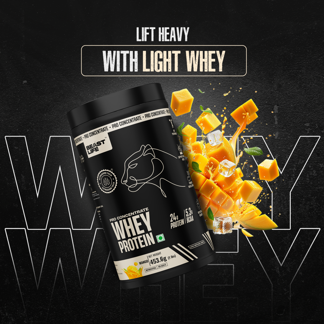 Pro Concentrate Whey Protein Mango 1lbs