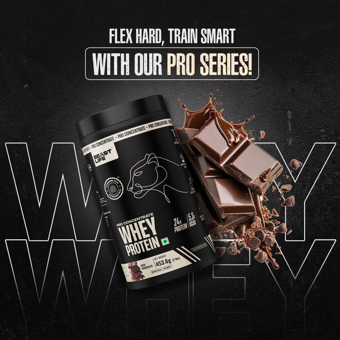 Pro Concentrate Whey Protein Rich Chocolate 1lbs