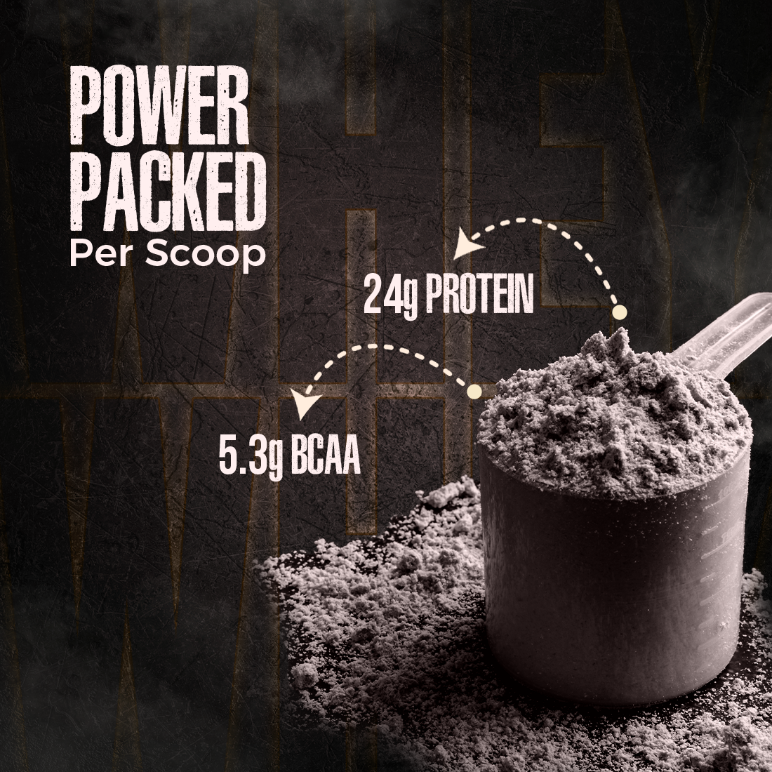 Pro Concentrate Whey Protein Rich Chocolate 1lbs