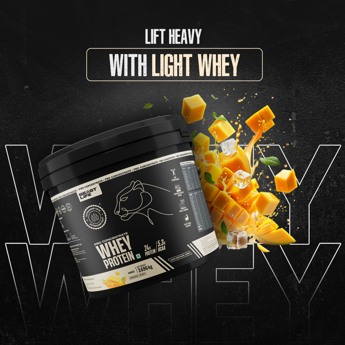 Pro Concentrate Whey Protein with Ultrasorb Tech | 3696gm | Mango