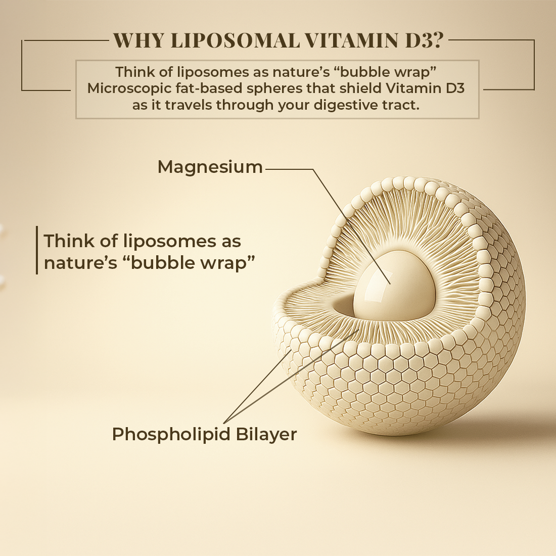LIPOSOMAL VITAMIN D3 CAPSULES 60N