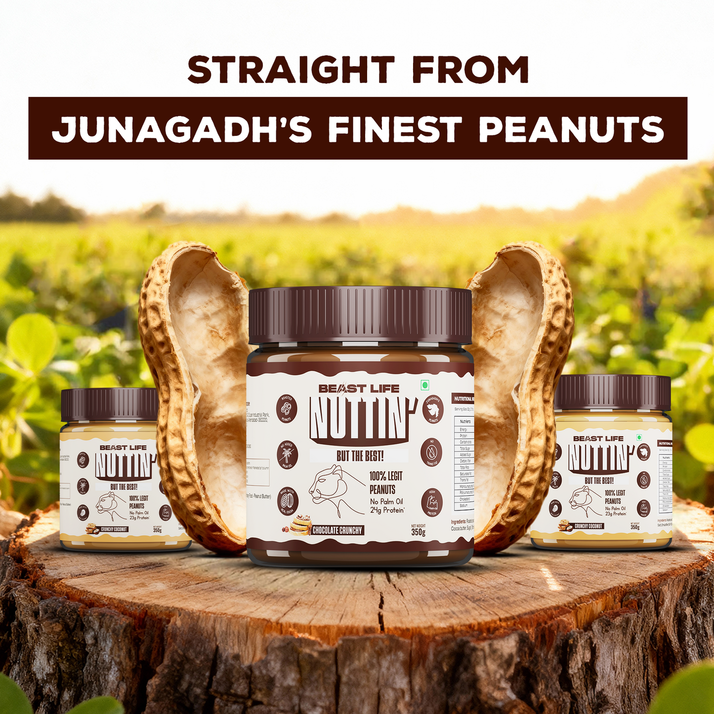 The Crunch & Cream Box | Peanut Butter | 4 Flavours