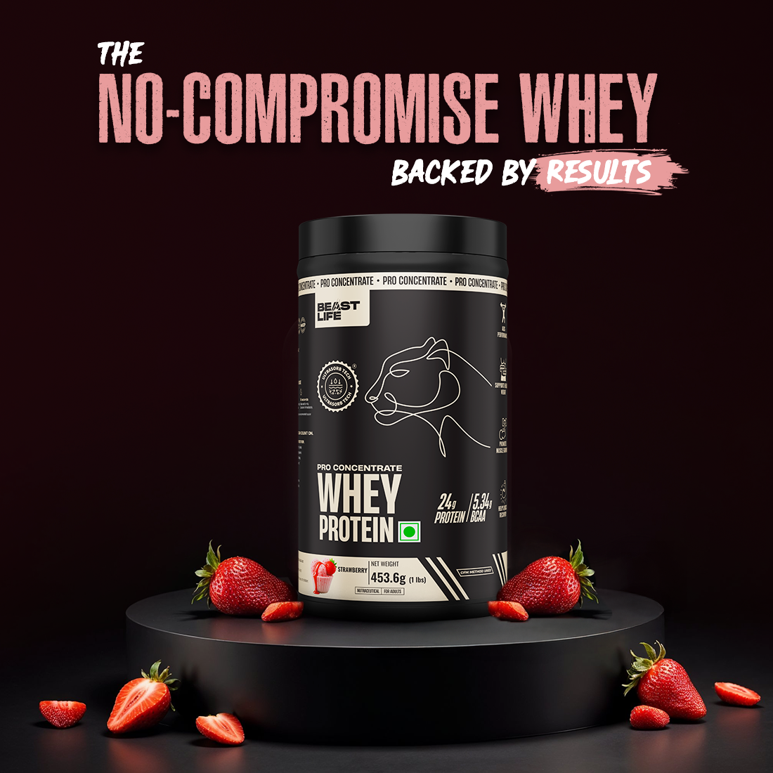 Pro Concentrate Whey Protein Strawberry 1lbs