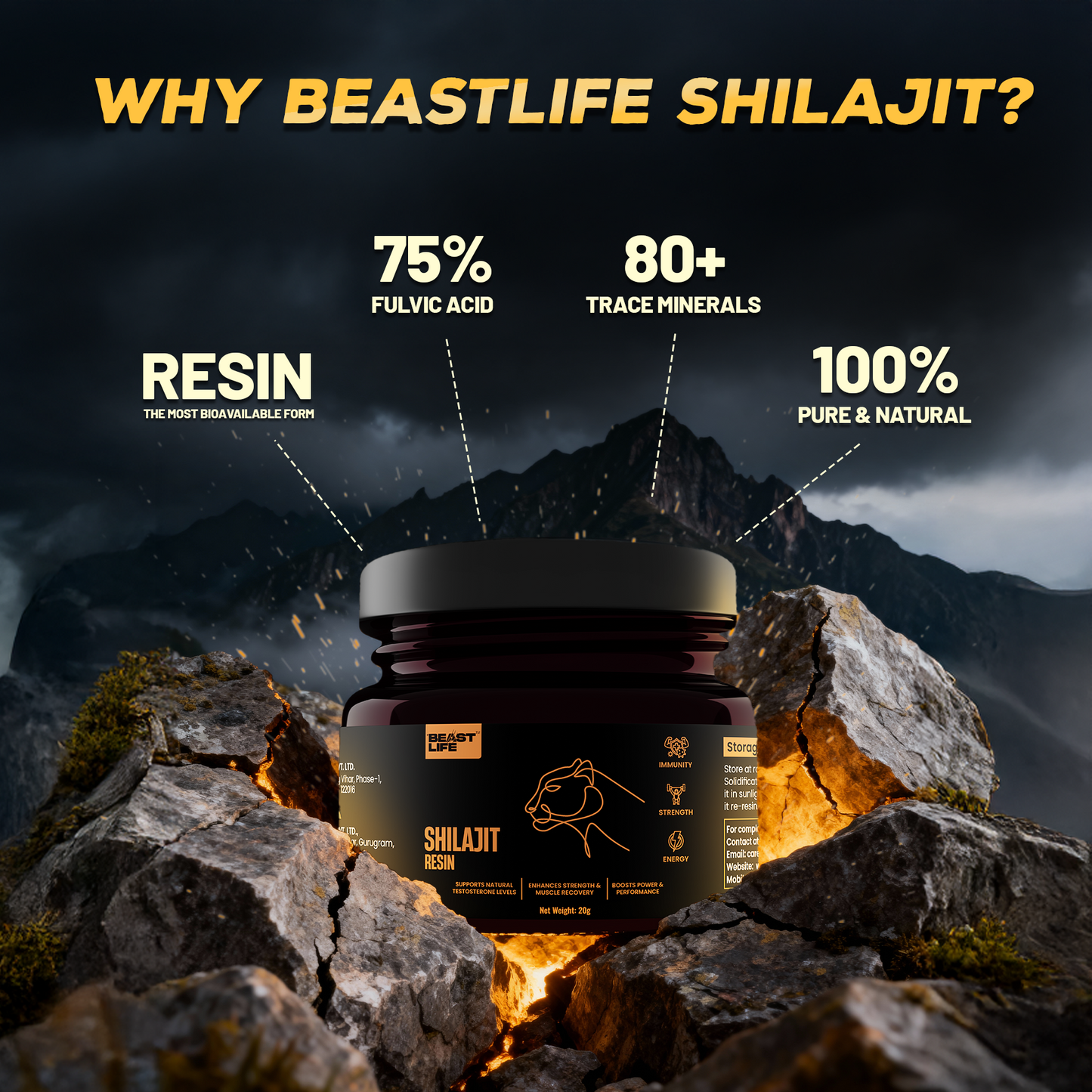 Beastlife SHILAJIT RESIN 20 g