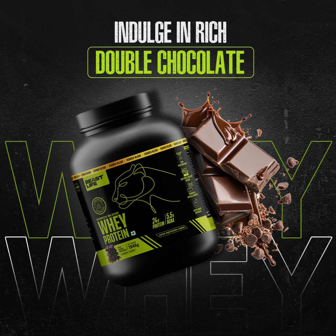 Isorich Blend Whey Protein with Ultrasorb Tech | 1848G