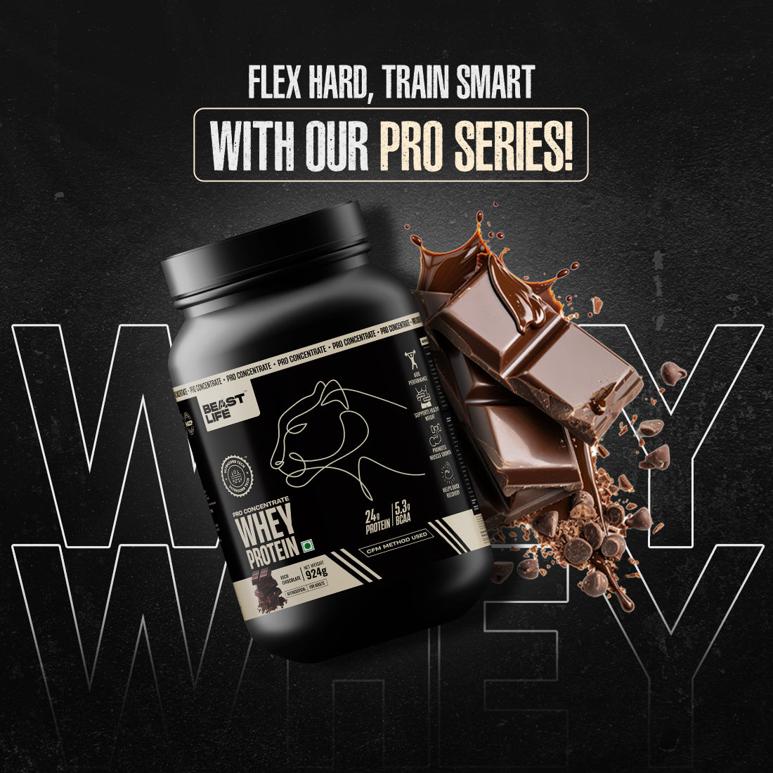 Pro Concentrate Whey Protein with Ultrasorb Tech | 924gm | Rich Chocolate