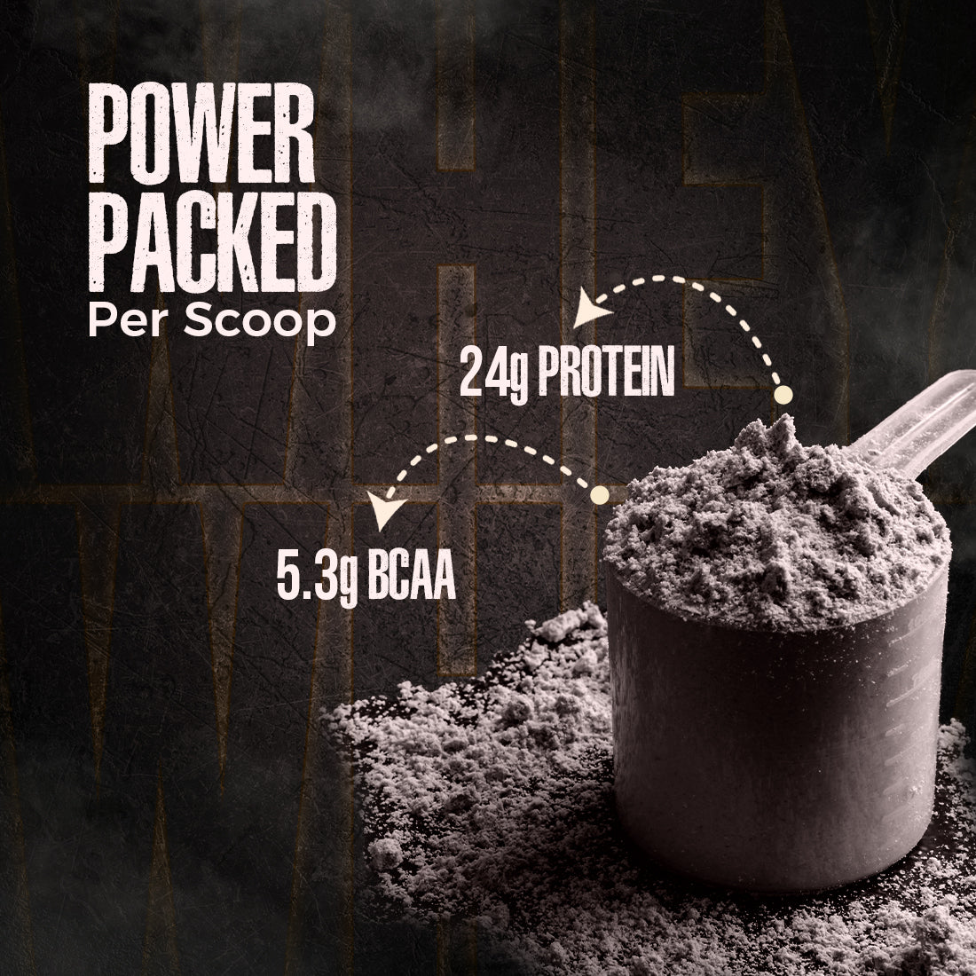 Pro Concentrate Whey Protein with Ultrasorb Tech | 924gm | Rich Chocolate