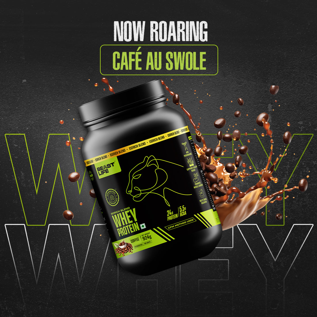 Coffee Isorich Blend Whey Protein with Ultrasorb Tech | 924G