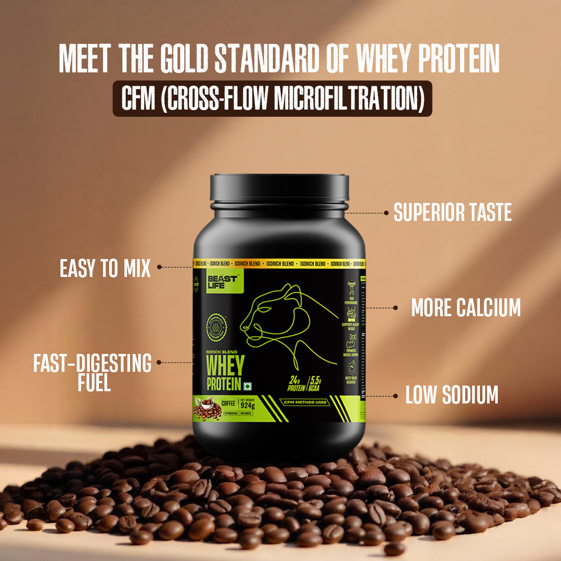 Coffee Isorich Blend Whey Protein with Ultrasorb Tech | 924G