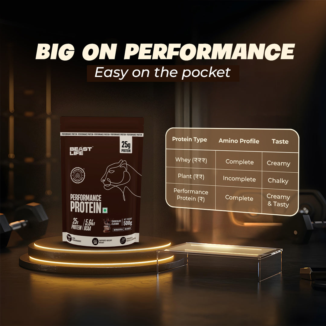 Performance Protein with Ultrasorb Tech | 500g | Chocolate