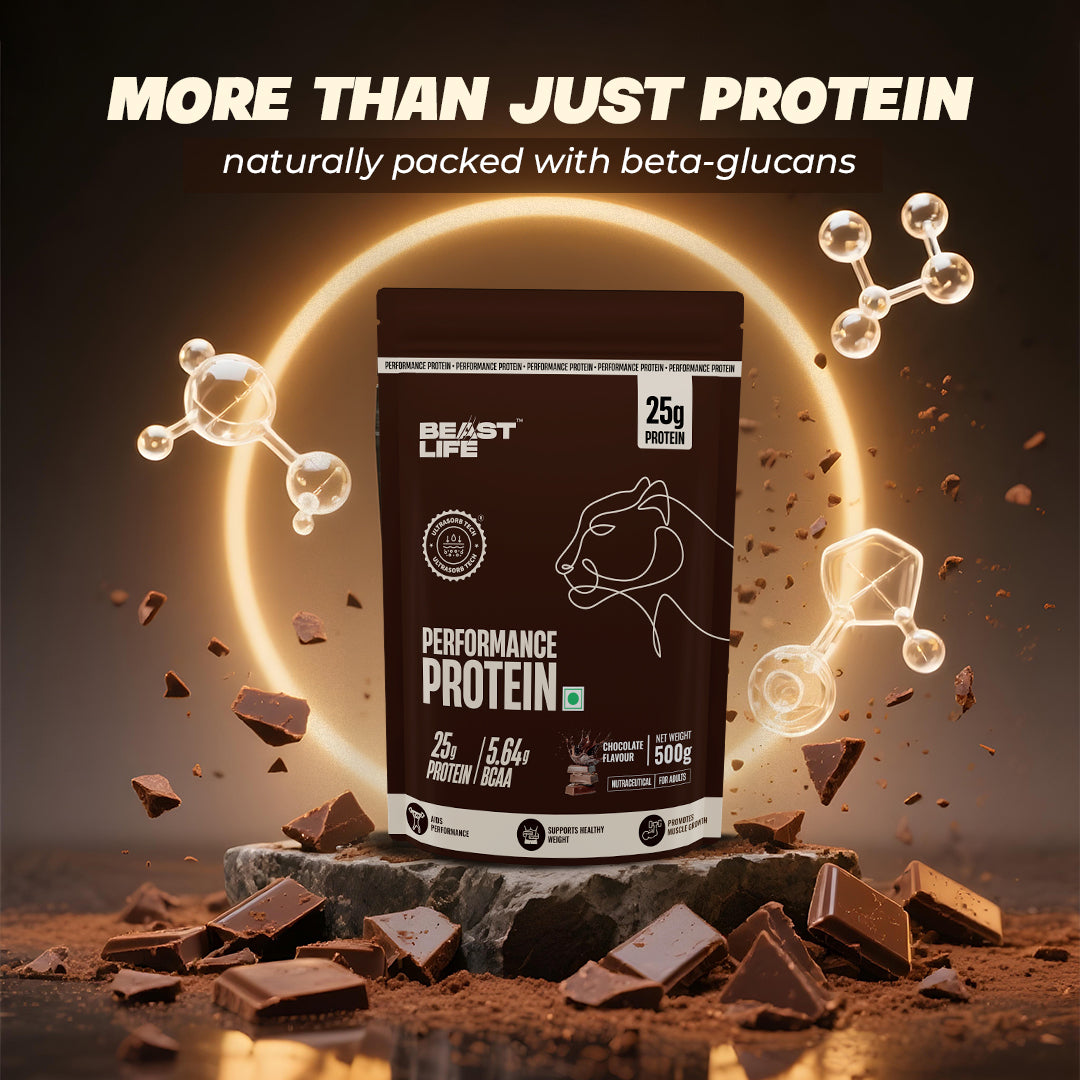 Performance Protein with Ultrasorb Tech | 500g | Chocolate