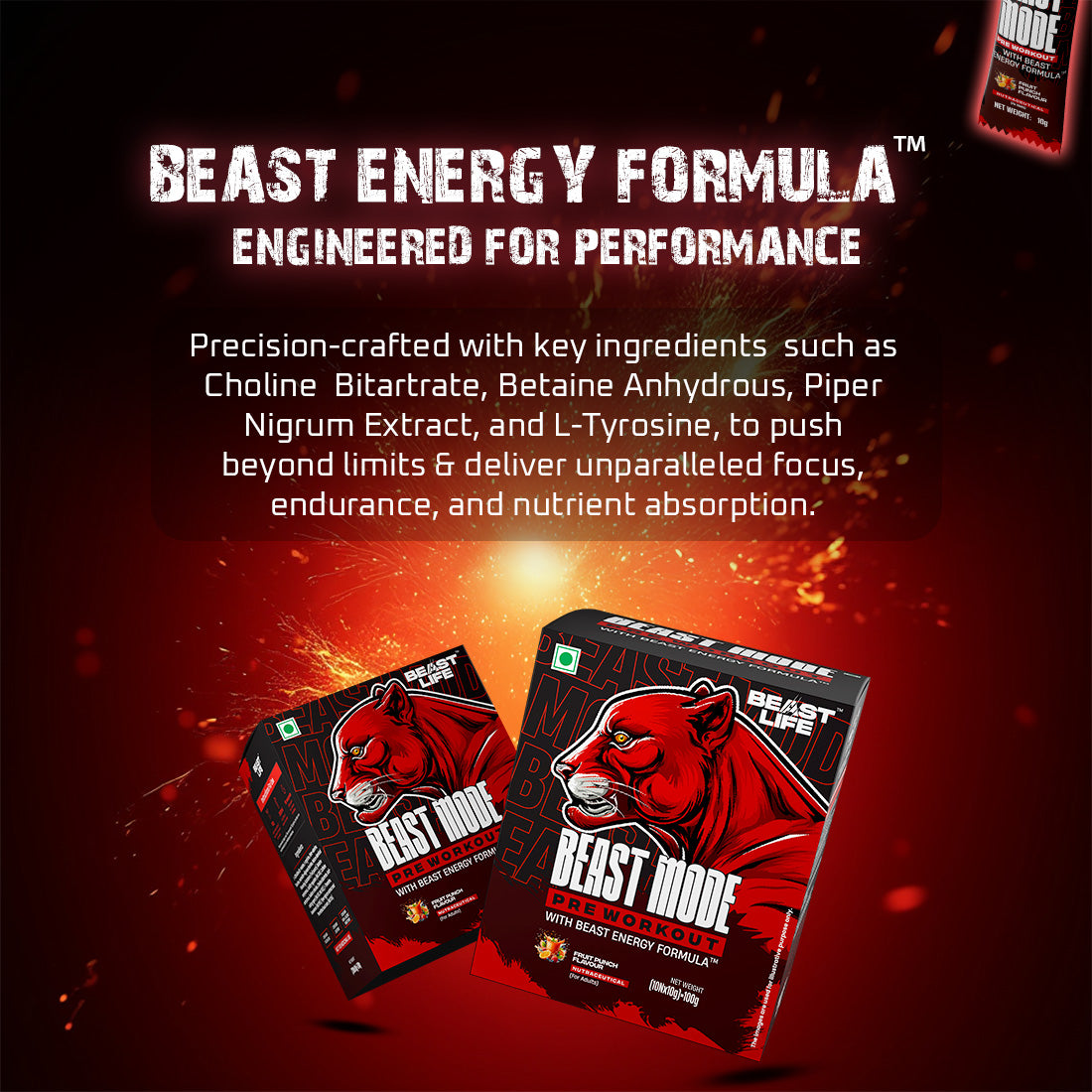 Beast Mode Pre Workout With Beast Energy Formula (Fruit Punch)