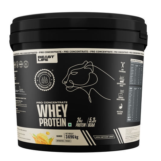 Pro Concentrate Whey Protein with Ultrasorb Tech | 3696gm | Mango