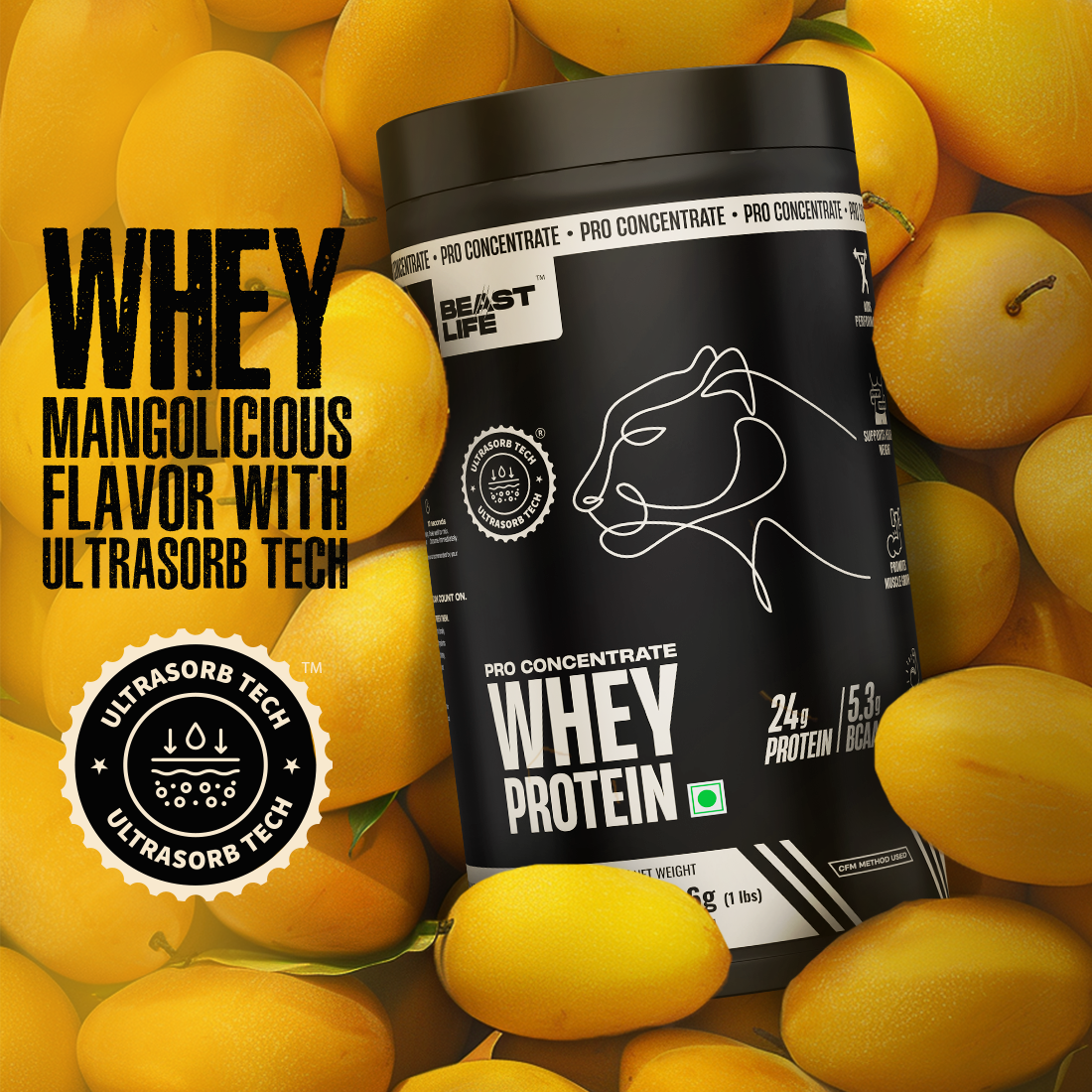 Pro Concentrate Whey Protein Mango 1lbs
