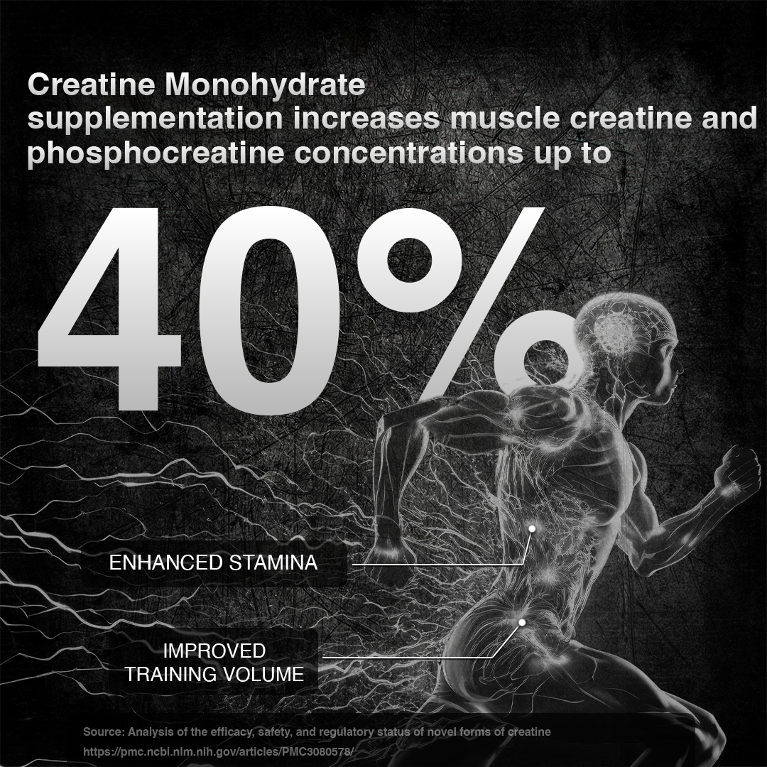 Creatine Monohydrate Assorted Pack of 5