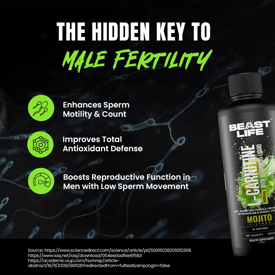 L-Carnitine with Vitamin B5 Liquid 1100mg (Mojito) 450ml