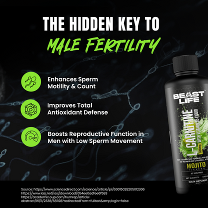 L-Carnitine with Vitamin B5 Liquid 1100mg (Mojito) 450ml