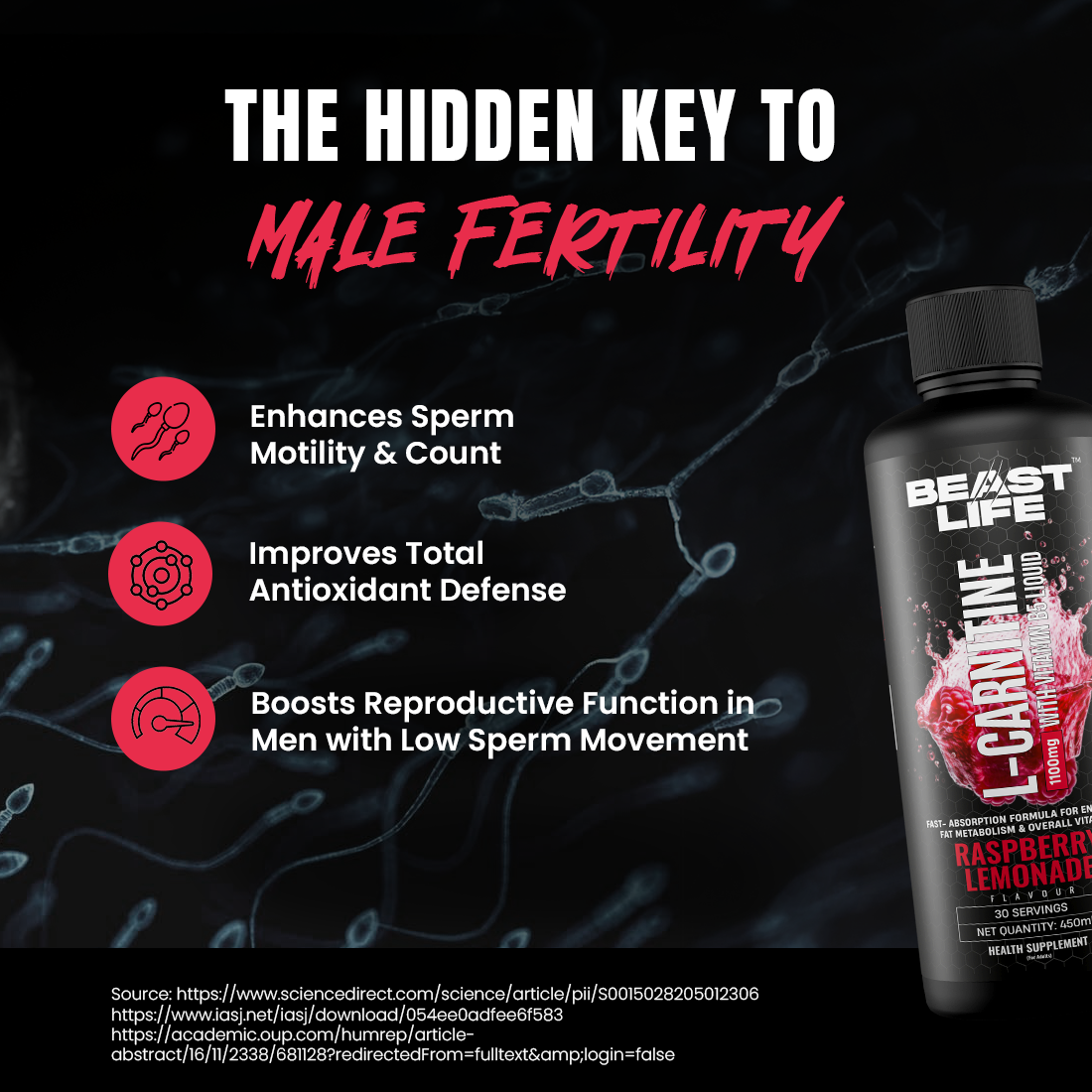 L-Carnitine with Vitamin B5 Liquid 1100mg (Raspberry Lemonade) 450ml