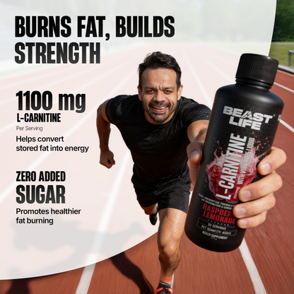 L-Carnitine with Vitamin B5 Liquid 1100 mg | Raspberry Lemonade | 450 ml