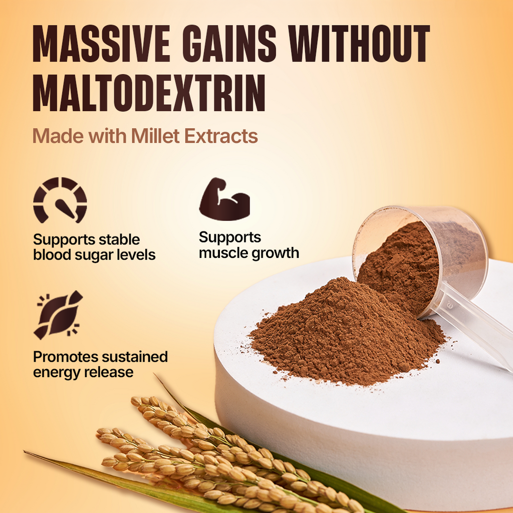 Anabolic Mass Gainer with Ultrasorb Tech, 2.5 kg, Belgian Chocolate - Image 3