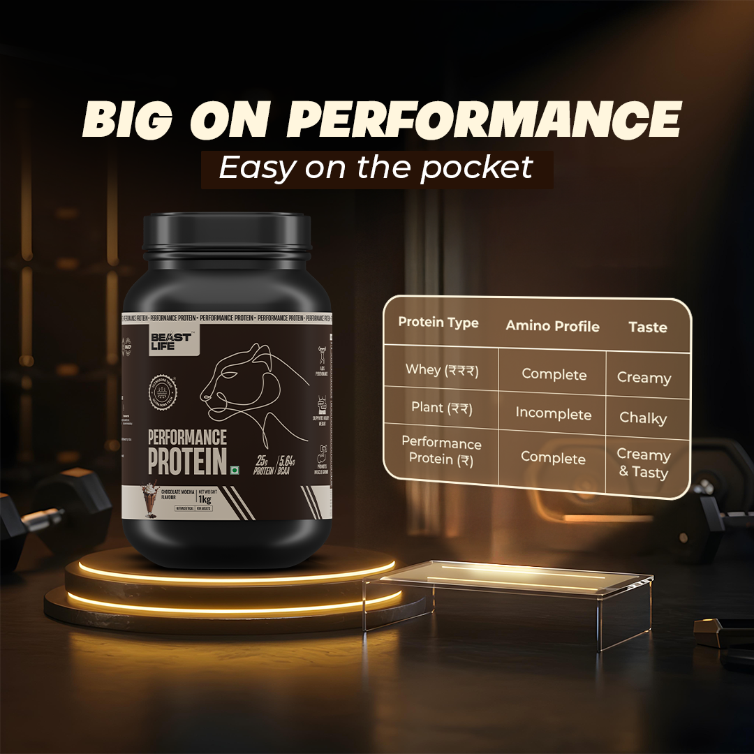 Performance Fermented Yeast Protein with Ultrasorb Tech | Chocolate Mocha | 1 kg