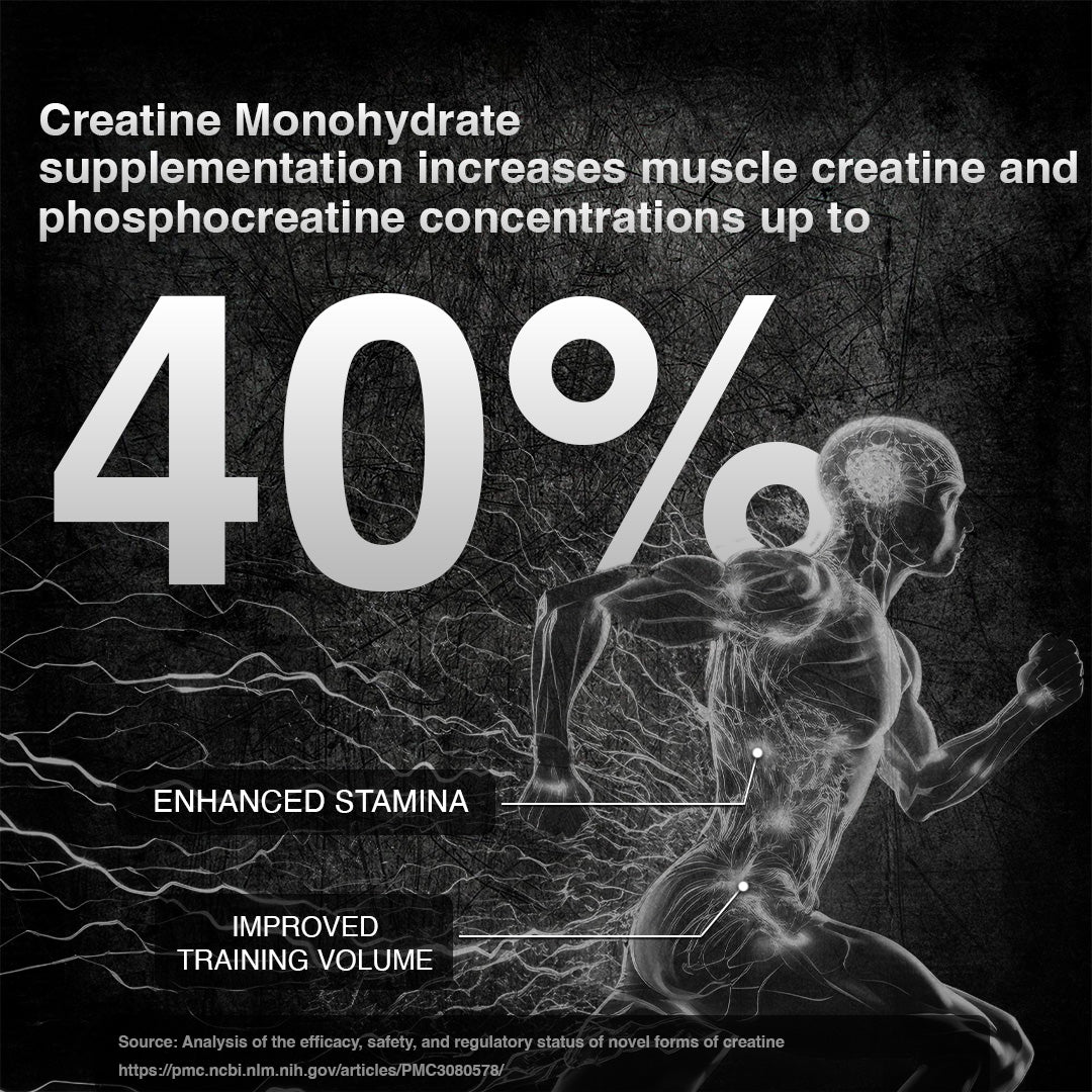 Watermelon Creatine Monohydrate 319g
