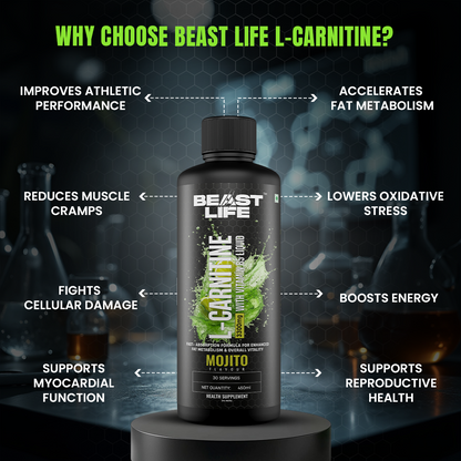 L-Carnitine with Vitamin B5 Liquid 3300 mg | Mojito | 450 ml