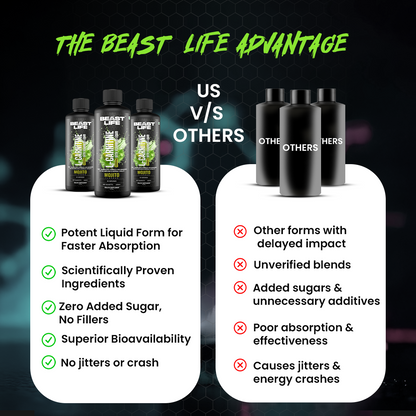 L-Carnitine with Vitamin B5 Liquid 3300 mg | Mojito | 450 ml