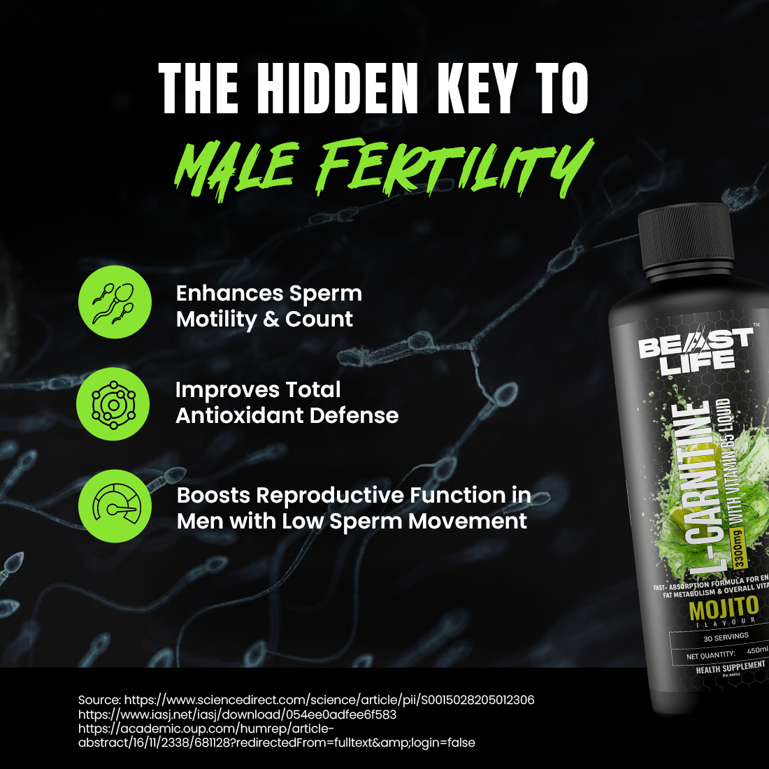 L-Carnitine with Vitamin B5 Liquid 3300 mg | Mojito | 450 ml
