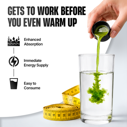 L-Carnitine with Vitamin B5 Liquid 1100 mg | Mojito | 450 ml