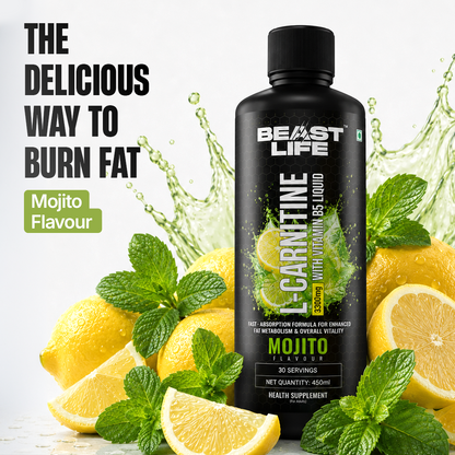 L-Carnitine with Vitamin B5 Liquid 3300 mg | Mojito | 450 ml