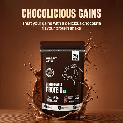 Performance Fermented Yeast Protein with Ultrasorb Tech | Chocolate | 500 g