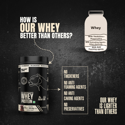 Pro Concentrate Whey Protein Rich Chocolate 1lbs