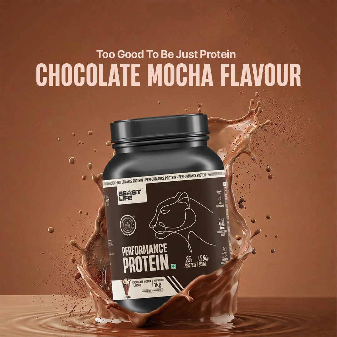 Performance Fermented Yeast Protein with Ultrasorb Tech | Chocolate Mocha | 1 kg