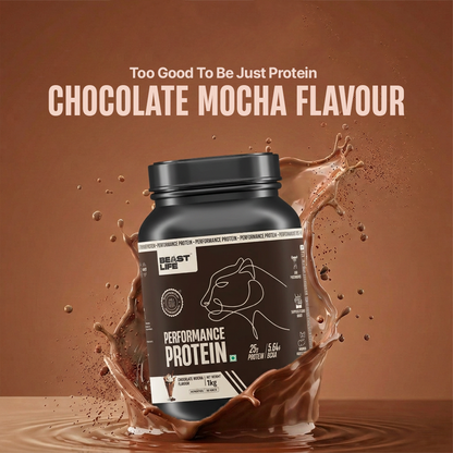 Performance Fermented Yeast Protein with Ultrasorb Tech | Chocolate Mocha | 1 kg