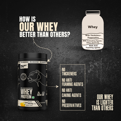 Pro Concentrate Whey Protein Mango 1lbs
