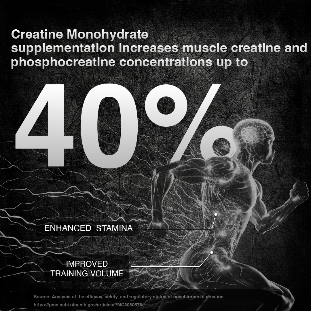 Super Micronized Creatine Monohydrate | 500G