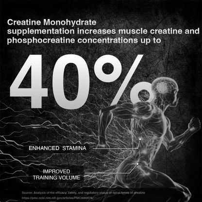 Super Micronized Creatine Monohydrate | 500G