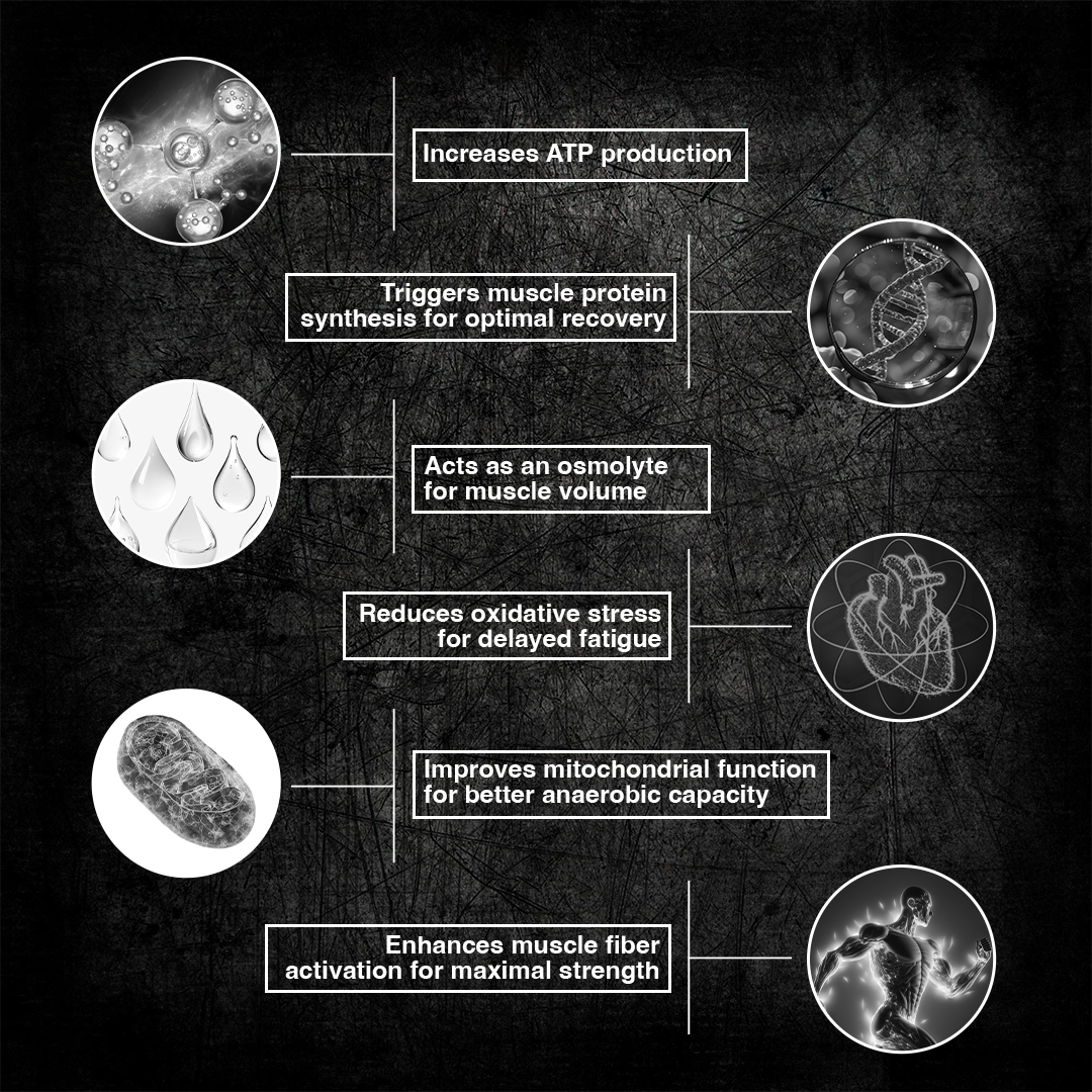 Super Micronized Creatine Monohydrate | 500G