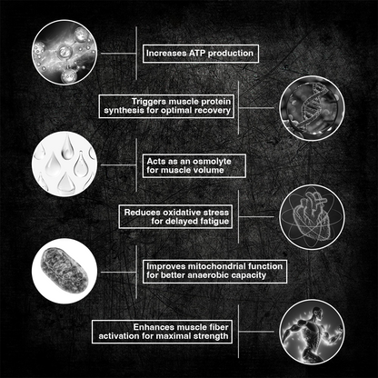 Creatine Monohydrate | Litchi | 319 g