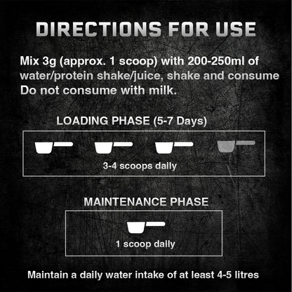 Shikanji Creatine Monohydrate 500g