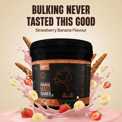 Anabolic Mass Gainer with Ultrasorb Tech | No Maltodextrin | Strawberry Banana | 5 kg