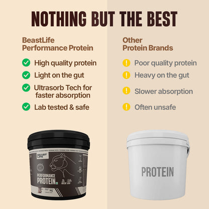 Performance Fermented Yeast Protein with Ultrasorb Tech | Chocolate | 4 kg