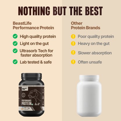 Performance Fermented Yeast Protein with Ultrasorb Tech | Birthday Cake | 1 kg