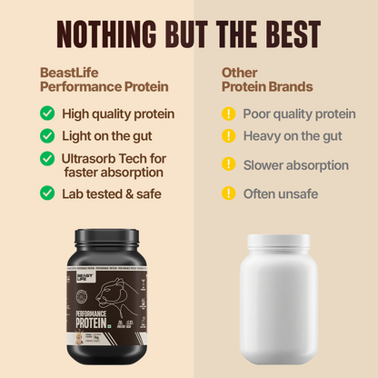 Performance Fermented Yeast Protein with Ultrasorb Tech | Thandai | 1 kg