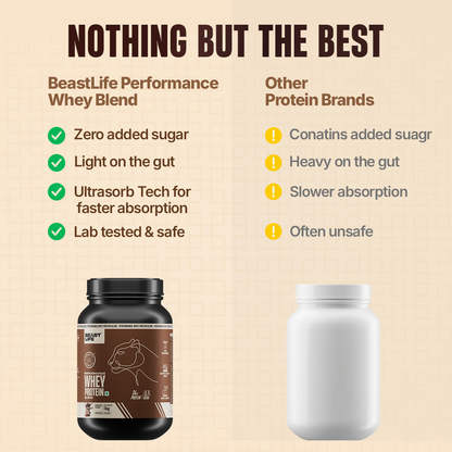 Performance Yeast Whey Protein Blend | Chocolate | 1kg
