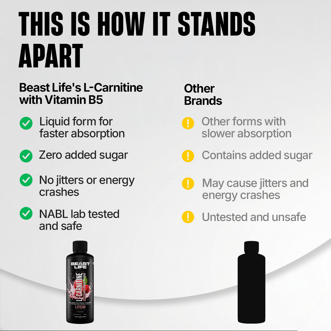 L-Carnitine with Vitamin B5 3300 mg | Triple Strength Formula | Litchi | 450 ml